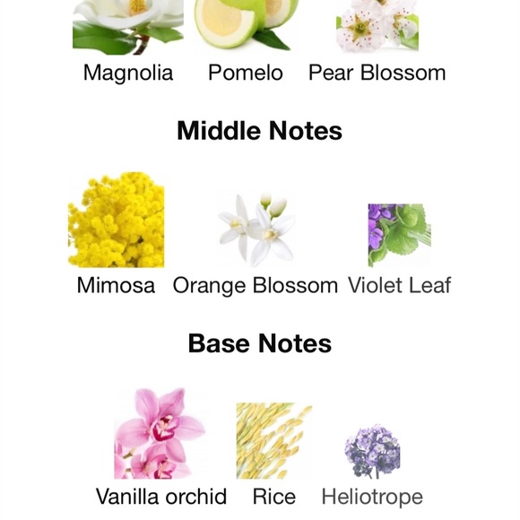 VALENTINO by Valentino - Picture 7 of 8